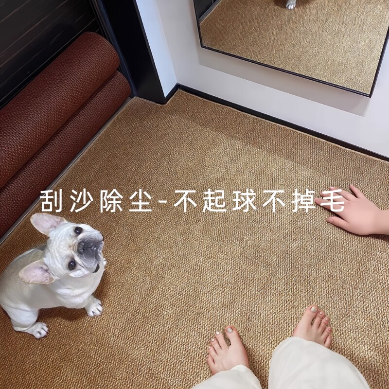仿剑麻入户门地垫可裁剪地毯防滑门口进门脚垫卧室玄关室内可机洗