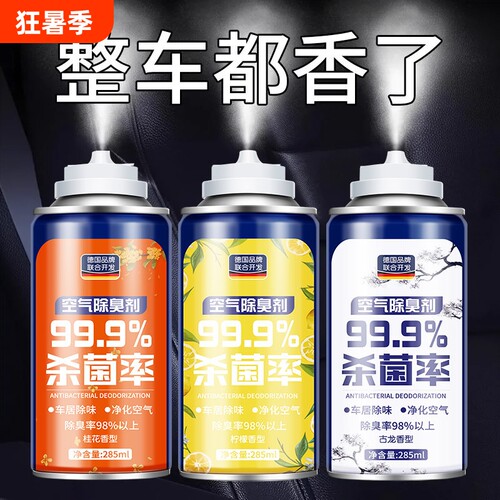 杀菌车内除异味净化器剂汽车空调空气清新剂