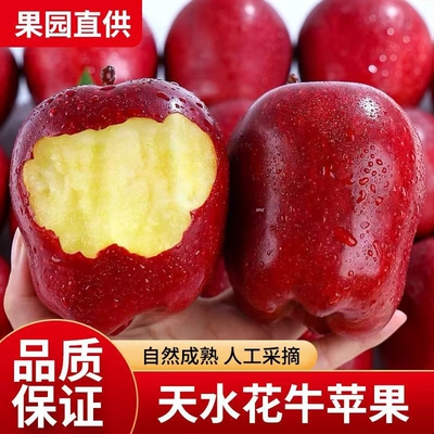 天水花牛苹果脆甜多汁新鲜整箱