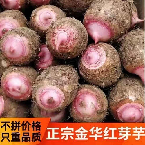 浙江金华软糯香滑红芽芋艿
