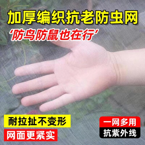 蔬菜防虫网种菜专用纱网100目新型农用加厚网纱果树防蚊虫网罩