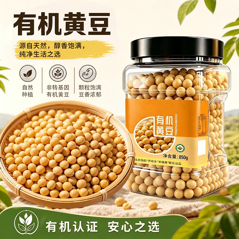 有机黄豆黑农江农家新豆新鲜五谷杂粮生豆芽专用黄豆非熟