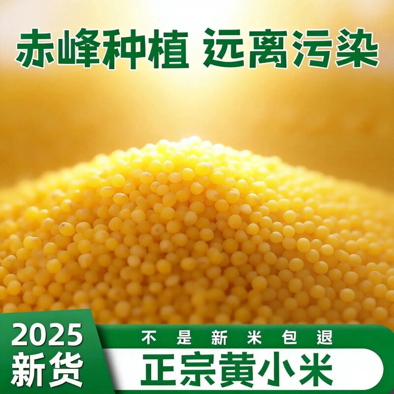 2025东北农家小米黄小米正宗新米黄米五谷杂粮食小米粥米油多粗粮