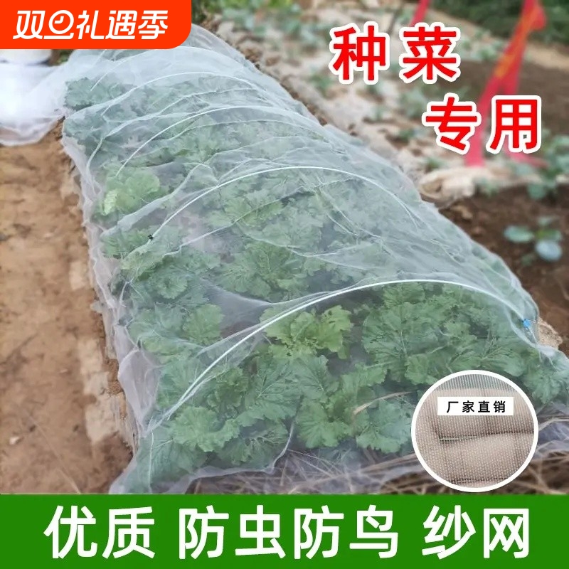 100目防虫网纱网大棚专用防虫网种菜专用果树防蚊网罩防蚊虫网
