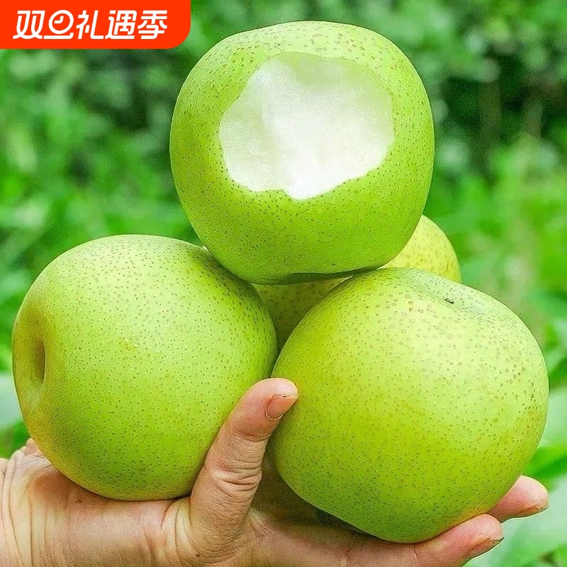 河北青皮皇冠梨新鲜当季水果梨子雪梨整箱包邮应季水果
