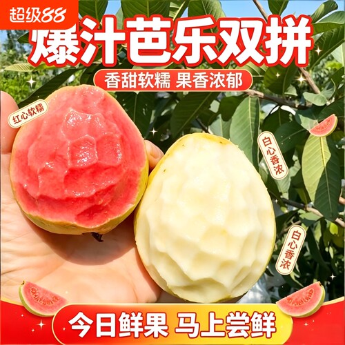 双拼芭乐白心红心软心软糯