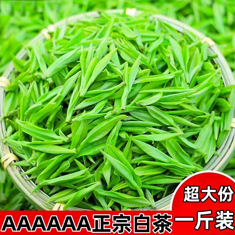 【一斤装】安吉白茶2025年新茶