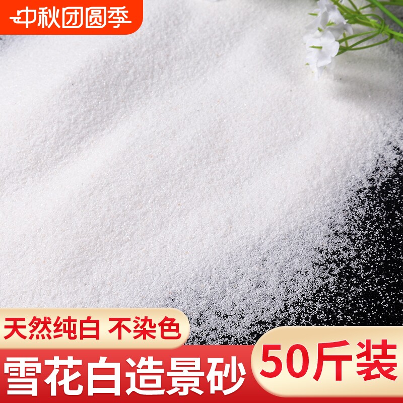 白沙子造景纯白石英砂鱼缸底砂枯山水细沙酒店烟灰缸垃圾桶游乐场										