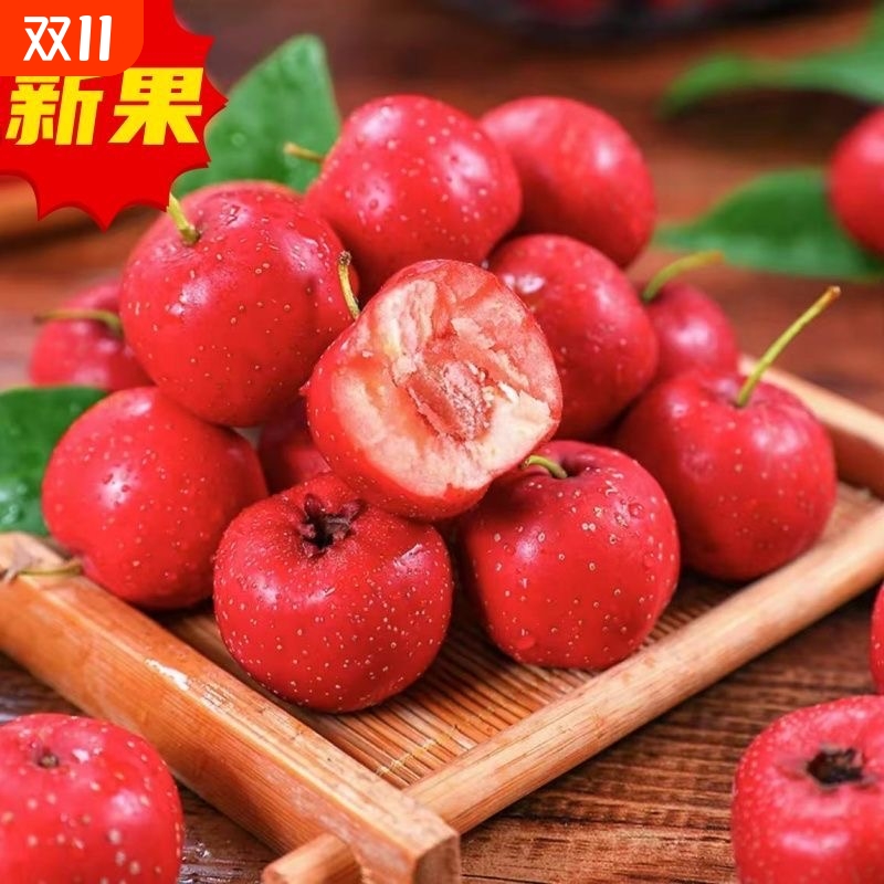 产地直发新鲜山楂冰糖葫芦