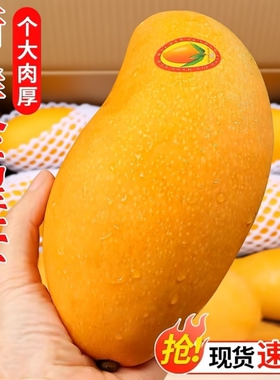 海南金煌芒果整箱9斤包邮新鲜现摘当季热带水果皮薄核小甜蜜多汁5