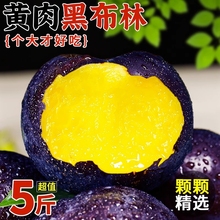 新鲜黑布林李子带箱当季水果脆李黑金刚黄肉黑布李整箱布朗