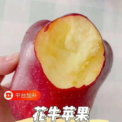 天水花牛苹果老人宝宝婴儿粉面刮泥蛇果新鲜水果苹果红蛇果