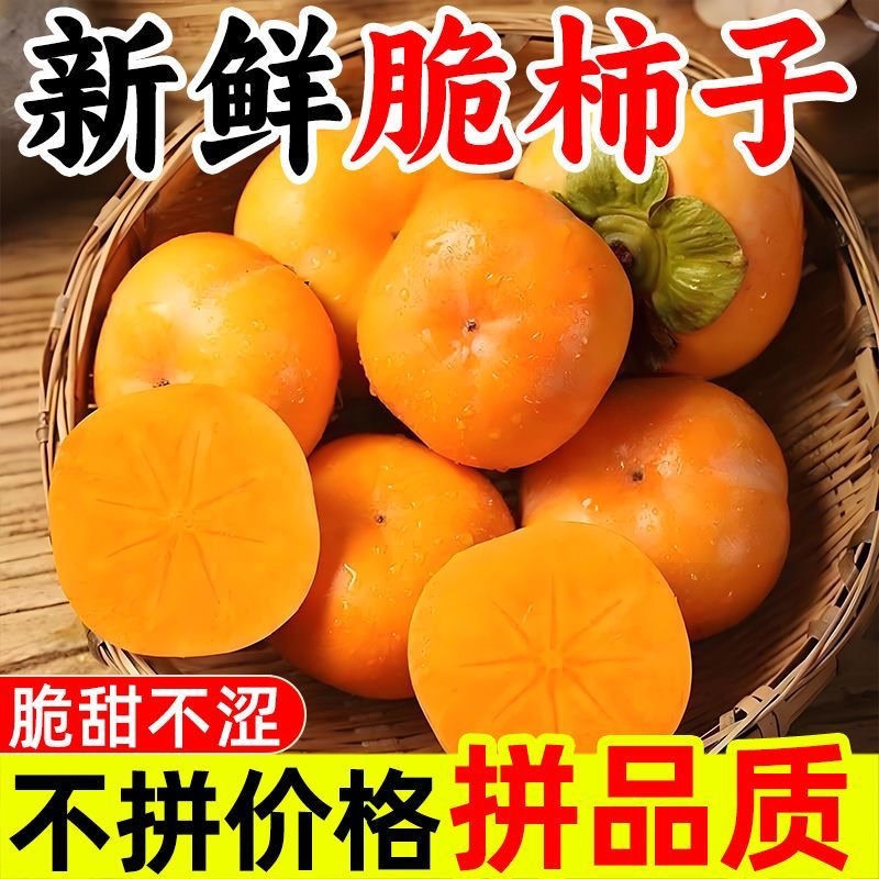 【涩口包赔】新鲜水果脆柿子时令孕妇甜柿硬柿子巧克力阳丰脆柿子