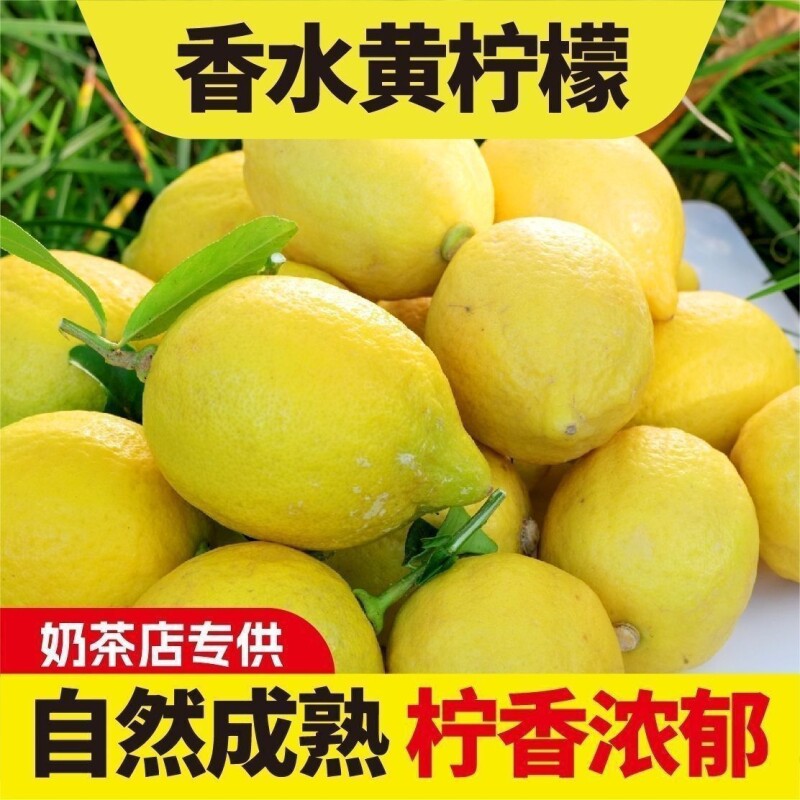 【果园批发】无籽柠檬黄香水柠檬鲜果当季新鲜专用商用奶茶摆摊