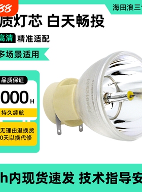 适用于奥图码HD20/HD21/H22/HD26/HD200X HD2200/HD25/HD33 S712ST S716ST  EP187/S315/OWX667 投影机灯泡