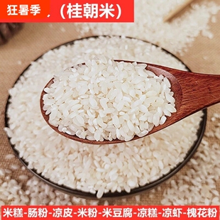 桂朝米糙早稻米早籼米不粘不糯肠粉凉糕米豆腐凉皮粉专用贵