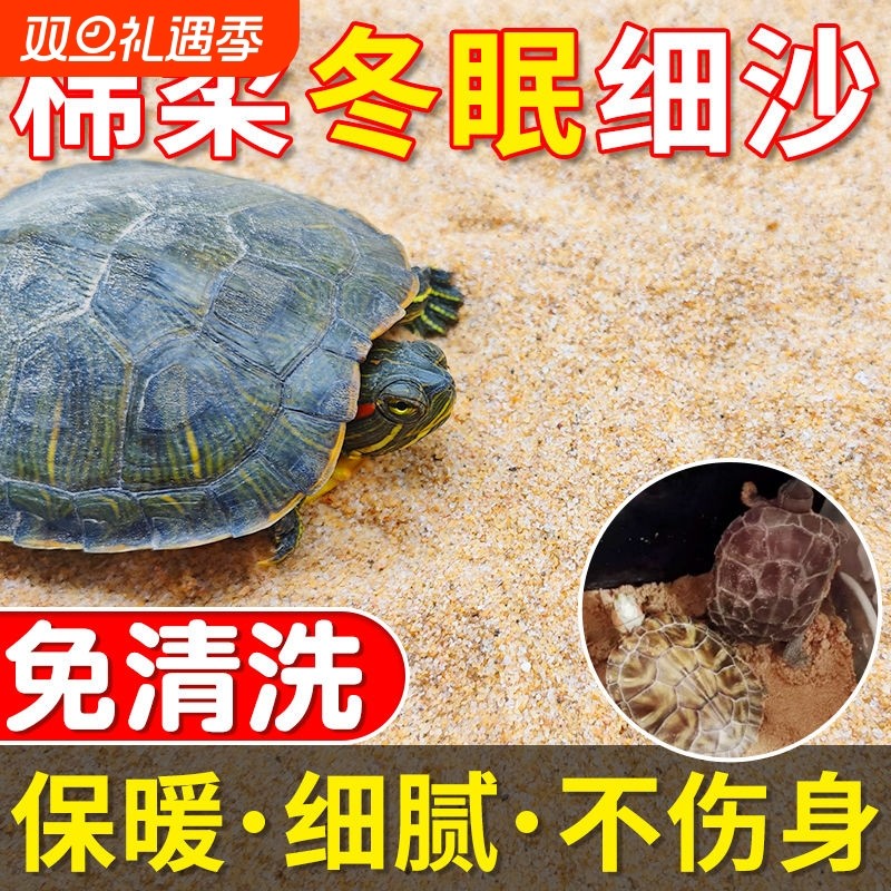 乌龟专用保湿透气河沙芙蓉沙