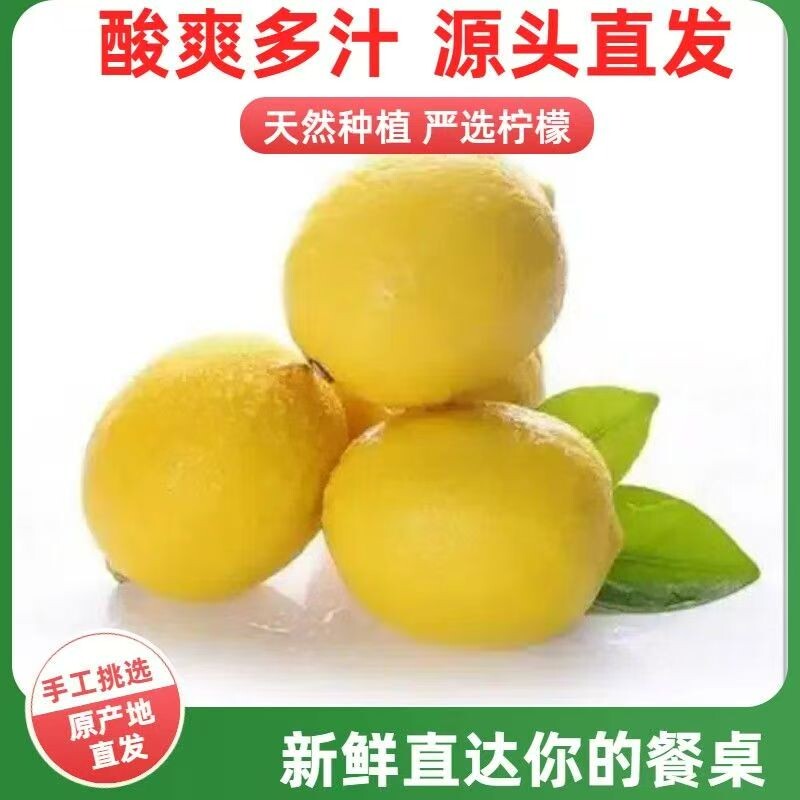 现摘现发四川安岳黄柠檬鲜柠檬5斤新鲜当季水果青柠酸爽新鲜水果