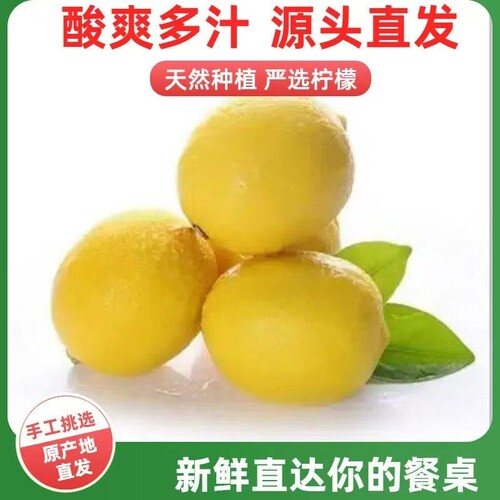 现摘现发四川安岳黄柠檬鲜柠檬5斤新鲜当季水果青柠酸爽新鲜水果
