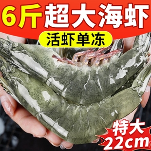 青岛大虾青虾鲜活冷冻特大号2030海虾基围虾盐冻无冰海鲜速冻水产