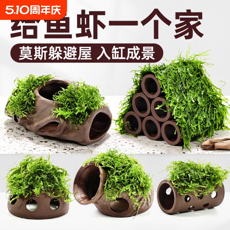 紫砂虾屋躲避屋水草植物鱼缸造景莫斯装饰水榕懒人真草鱼虾水质