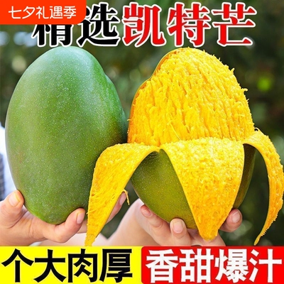 四川攀枝花凯特芒果当季新鲜现摘水果当季凯特芒芒果新鲜青皮芒果