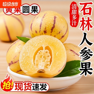 人参果云南石林树上熟新鲜水果圆果七彩果应当季整箱包邮回购大果