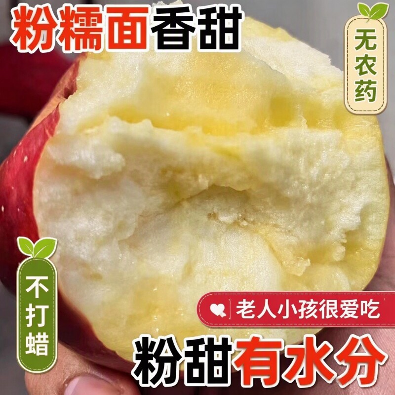 新鲜现摘粉面沙甜苹果红星苹果宝宝刮泥婴儿老人吃的绵水果香蕉
