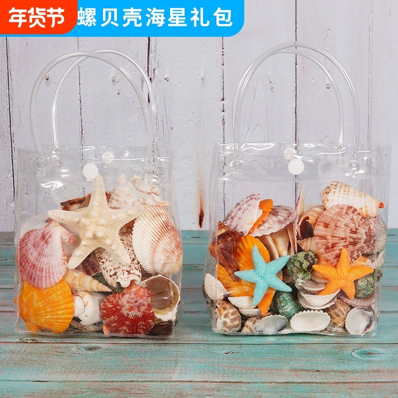 天然贝壳海螺壳摆件海星鱼缸水族箱地台造景儿童玩具礼物包邮收藏