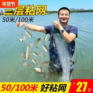 渔网加粗粘鱼网丝网三层沉网浮网鱼网捕鱼网鲫鱼鲢鱼白条网沾网