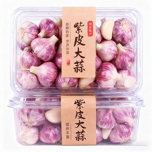 2026云南紫皮鲜蒜新鲜大蒜头红皮糖蒜腌制腊八蒜嫩蒜 现挖湿蒜