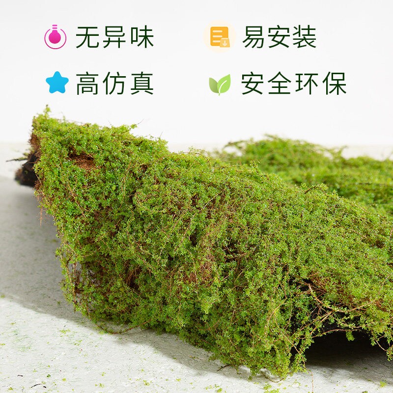 仿真苔藓微景观造景植物四季常青仿生绿植假草皮桌面铺面地毯盆景
