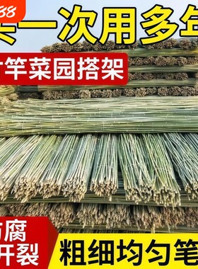 小竹杆爬藤架竹竿菜园搭架豆角竹篱笆彩旗竹竿子花架围栏竹子黄瓜