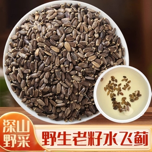 野生水飞蓟中药材水飞蓟种子水飞蓟籽水飞雉奶蓟草籽乳蓟马刺蓟