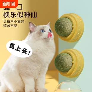 猫薄荷球猫玩具贴墙自嗨逗猫解闷磨牙饼干舔舔乐猫咪玩具用品大全