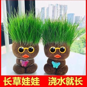 花伴水创意绿植草头娃娃园艺创意绿植趣味桌面简单好养