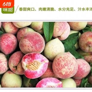血桃湖北特产新鲜应季脆甜孕妇当季水果高山老树足味现摘多汁离核