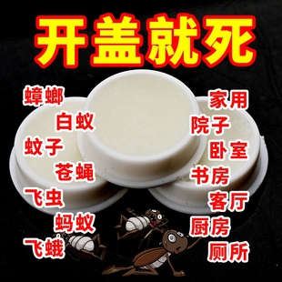 灭蟑螂神器出租屋家用一窝端蟑螂饵挤克星方便贴 强效蟑螂药加强版
