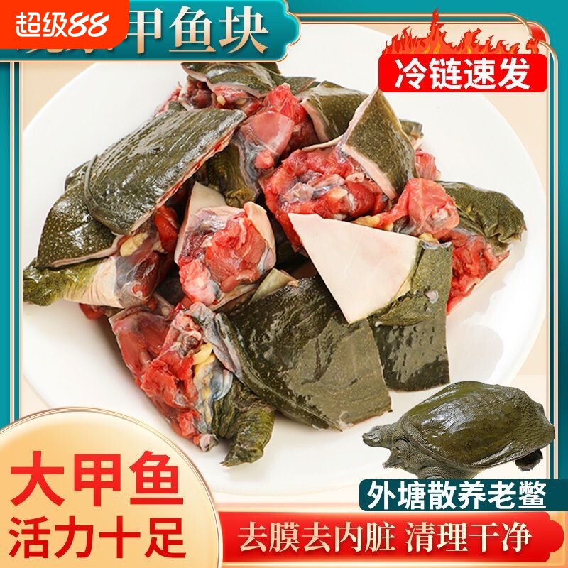 鲜活甲鱼现捕现杀切块老鳖去皮图片