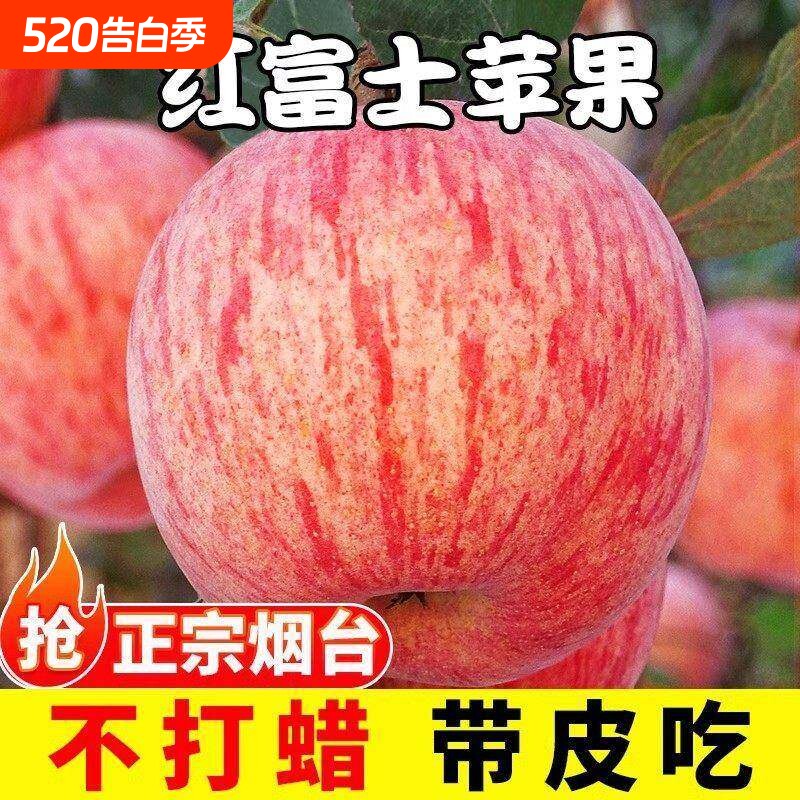 山东烟台红富士苹果脆甜多汁整箱栖霞苹果当季应季水果整箱