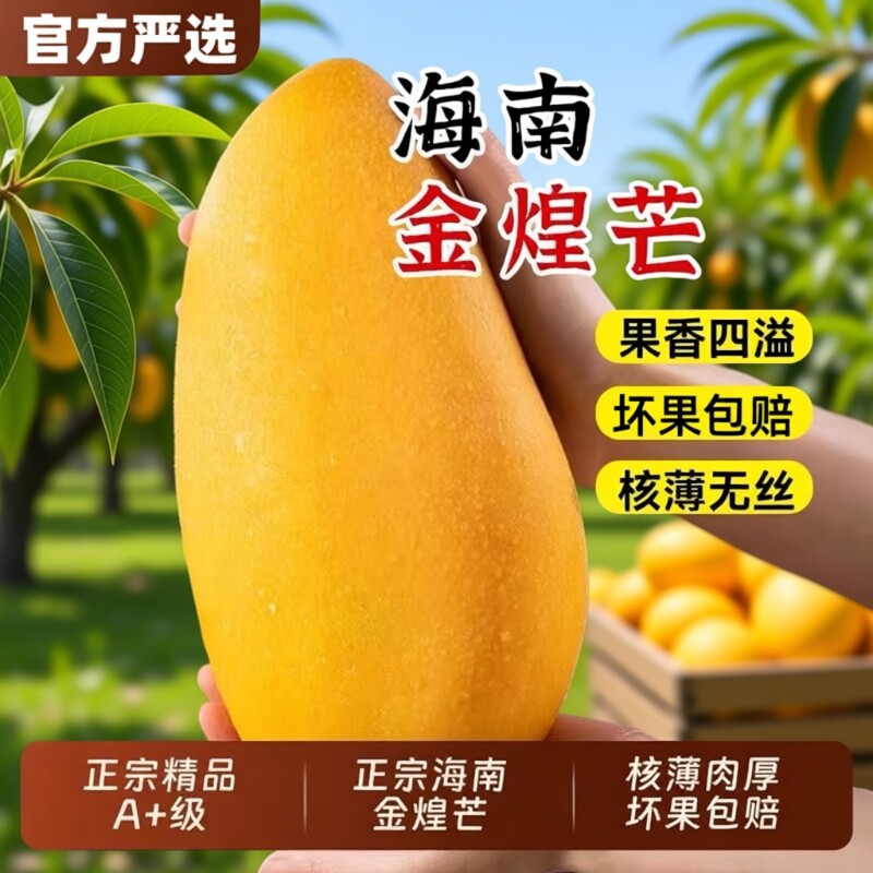海南金煌芒果整箱9斤包邮新鲜现摘当季热带水果皮薄核小甜蜜多汁5