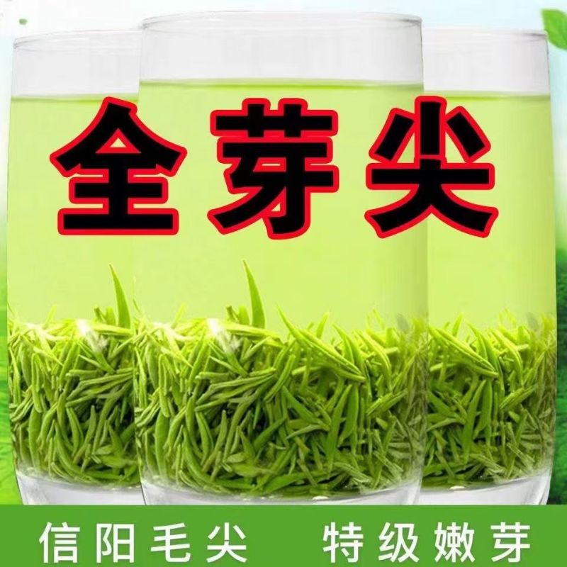 嫩芽2025信阳纯毛尖明前特级绿茶高档新茶叶浓香型罐装礼盒装明前