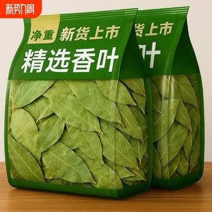广西香叶月桂叶片个大色绿去腥解腻提味增香500g香辛料调味料批发