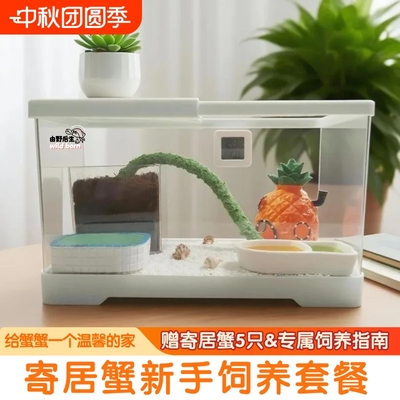 寄居蟹饲养箱豪华新手套装
