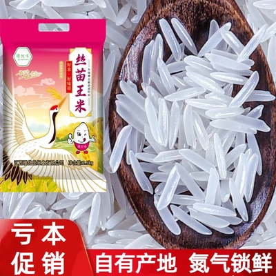 穗优味江西猫牙米500g袋装超好吃