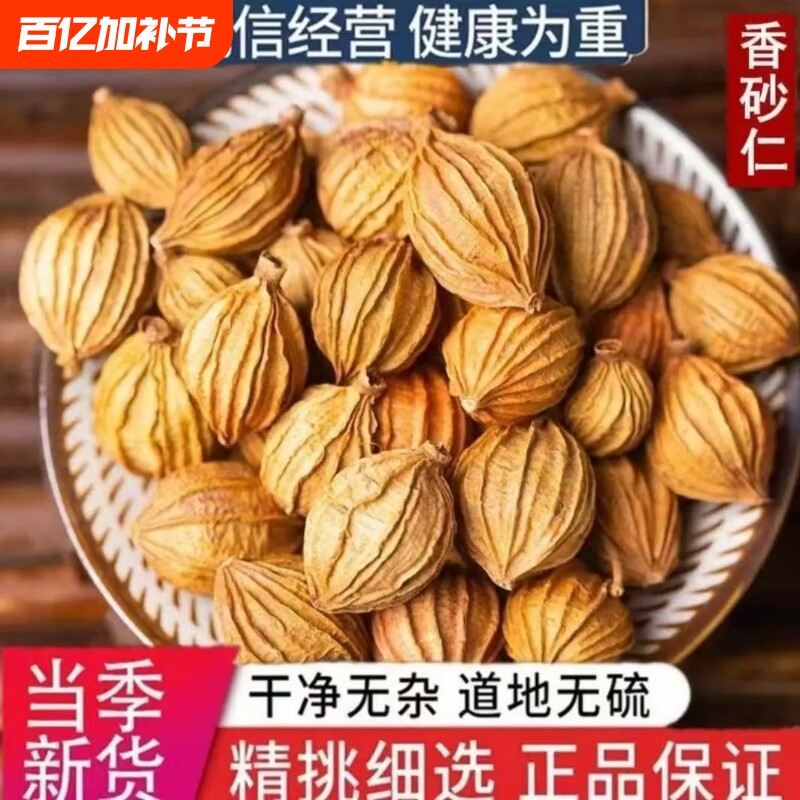 四川香砂仁香料500g 砂沙仁黄金砂仁优质特产炖肉卤菜调料大全