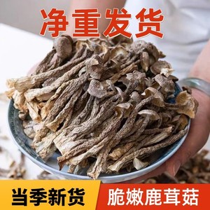 降价鹿茸菇干货500g包邮云南特产食材非新鲜煲汤菌菇包香菇营养