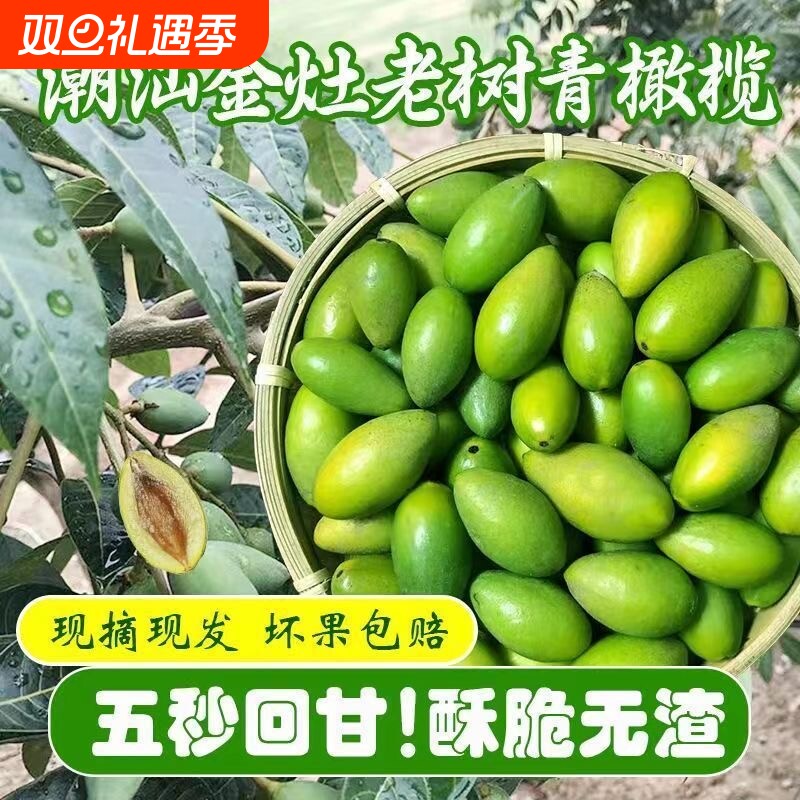 潮汕金灶原味香甜酥脆橄榄新鲜橄榄泡酒煲汤原味橄榄果现摘现发