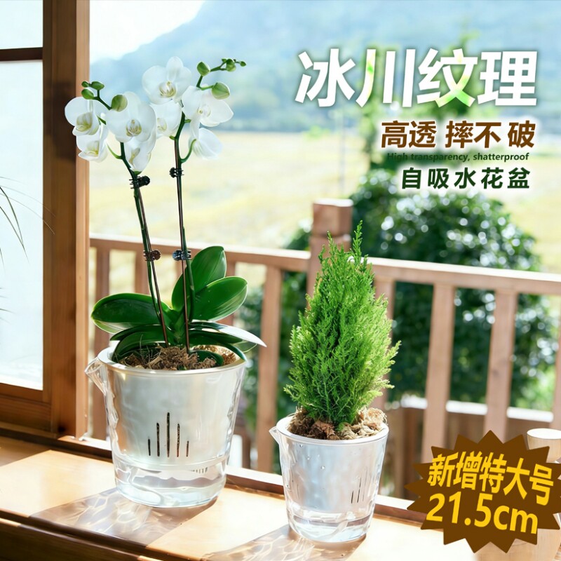 纹透明懒人自吸水花盆水培养植物水仙花塑料仿玻璃特大号绿植桌面