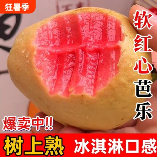 红心芭乐番石榴软糯软心